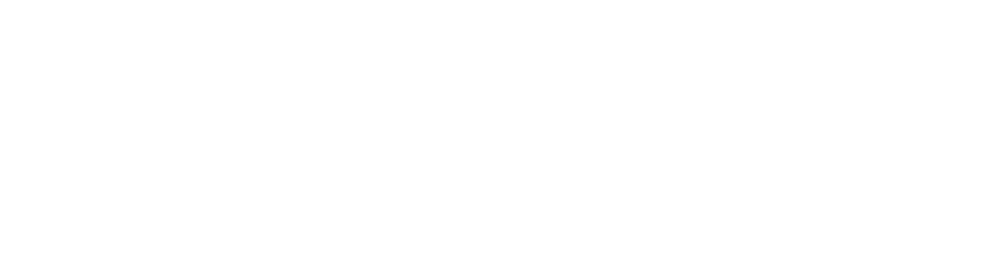 Logo-HoltecInternational