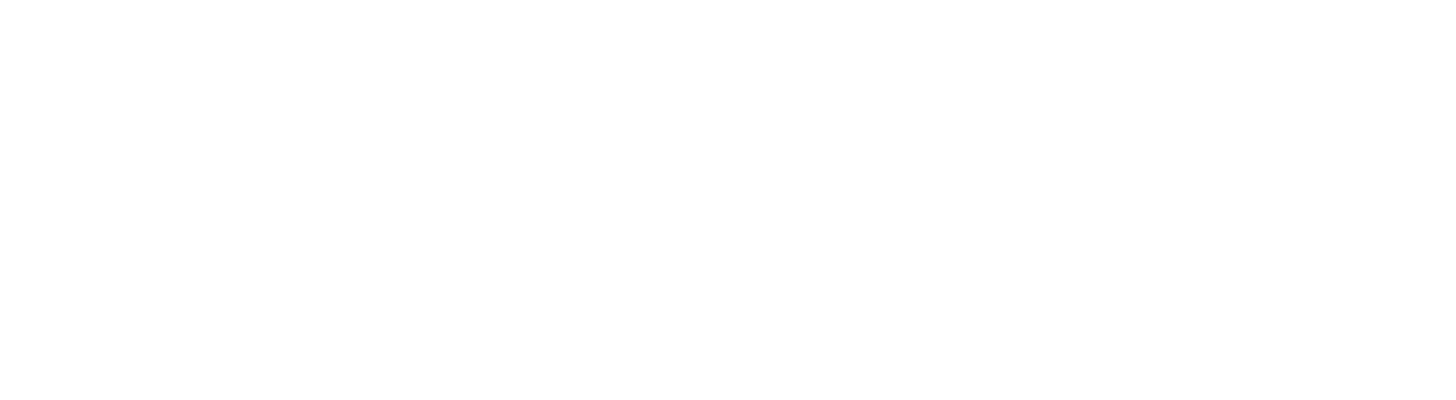Logo-INL