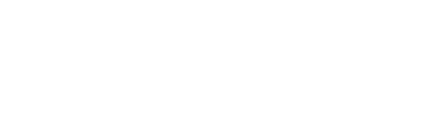 Logo-IVA